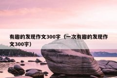 有趣的发现作文300字（一次有趣的发现作文300字