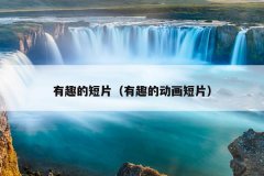 有趣的短片（有趣的动画短片）