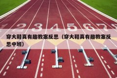 穿大鞋真有趣教案反思（穿大鞋真有趣教案反思