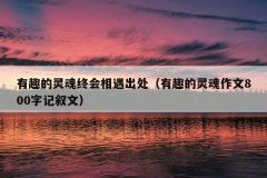 有趣的灵魂终会相遇出处（有趣的灵魂作文800字