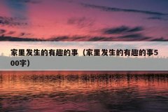 家里发生的有趣的事（家里发生的有趣的事500字