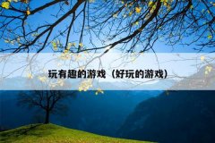 玩有趣的游戏（好玩的游戏）