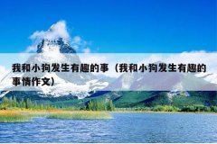 我和小狗发生有趣的事（我和小狗发生有趣的事