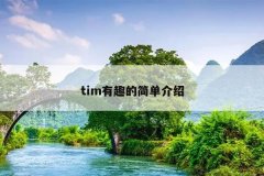 tim有趣的简单介绍