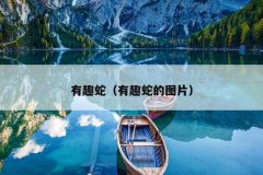 有趣蛇（有趣蛇的图片）