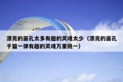 漂亮的面孔太多有趣的灵魂太少（漂亮的面孔千