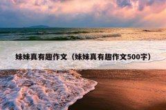 妹妹真有趣作文（妹妹真有趣作文500字）