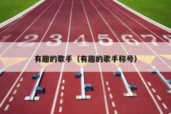 有趣的歌手（有趣的歌手称号）