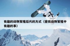 有趣的动物繁殖后代的方式（查找动物繁殖中有