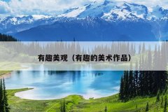 有趣美观（有趣的美术作品）