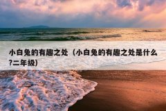 小白兔的有趣之处（小白兔的有趣之处是什么?二