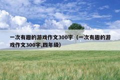 一次有趣的游戏作文300字（一次有趣的游戏作文