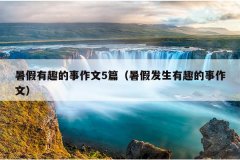 暑假有趣的事作文5篇（暑假发生有趣的事作文）