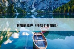 有趣的原声（播放个有趣的）