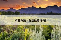 有趣改编（有趣改编诗句）