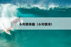 小刘很有趣（小刘很洋）