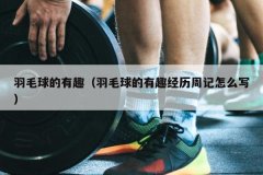 羽毛球的有趣（羽毛球的有趣经历周记怎么写）