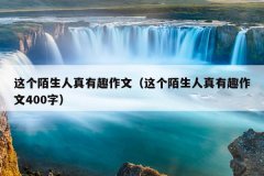 这个陌生人真有趣作文（这个陌生人真有趣作文