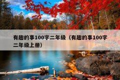有趣的事100字二年级（有趣的事100字二年级上册）