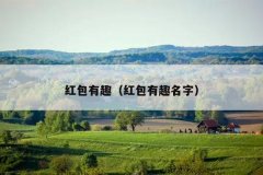 红包有趣（红包有趣名字）