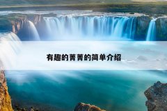 有趣的菁菁的简单介绍