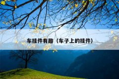 车挂件有趣（车子上的挂件）