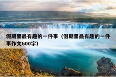 假期里最有趣的一件事（假期里最有趣的一件事