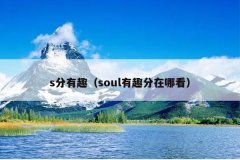 s分有趣（soul有趣分在哪看）