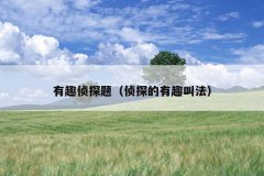 有趣侦探题（侦探的有趣叫法）