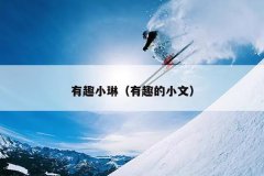 有趣小琳（有趣的小文）