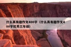 什么真有趣作文400字（什么真有趣作文400字优秀