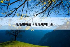 毛毛姐有趣（毛毛姐叫什么）
