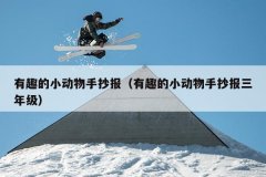 有趣的小动物手抄报（有趣的小动物手抄报三年