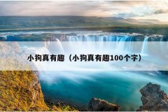 小狗真有趣（小狗真有趣100个字）