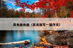 真有趣有趣（真有趣写一篇作文）
