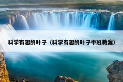 科学有趣的叶子（科学有趣的叶子中班教案）