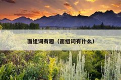 面组词有趣（面组词有什么）