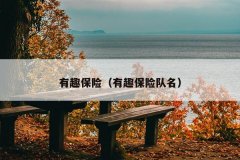 有趣保险（有趣保险队名）