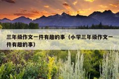 三年级作文一件有趣的事（小学三年级作文一件