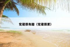 党建很有趣（党建很累）