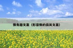 懒有趣文案（形容懒的搞笑文案）