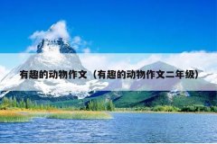 有趣的动物作文（有趣的动物作文二年级）