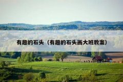 有趣的石头（有趣的石头画大班教案）