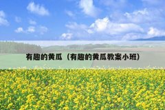 有趣的黄瓜（有趣的黄瓜教案小班）