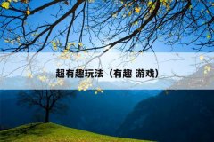 超有趣玩法（有趣 游戏）