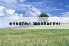 南京有趣的地方（南京有意义的景点）