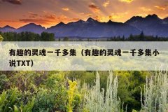 有趣的灵魂一千多集（有趣的灵魂一千多集小说