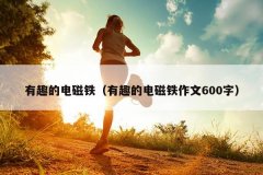 有趣的电磁铁（有趣的电磁铁作文600字）