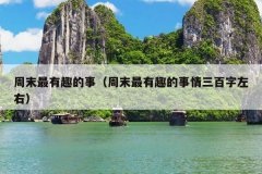 周末最有趣的事（周末最有趣的事情三百字左右