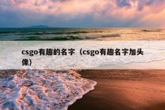 csgo有趣的名字（csgo有趣名字加头像）
